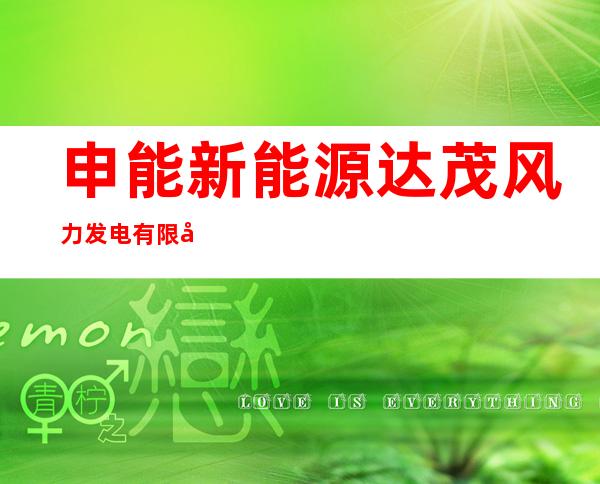 申能新能源达茂风力发电有限公司